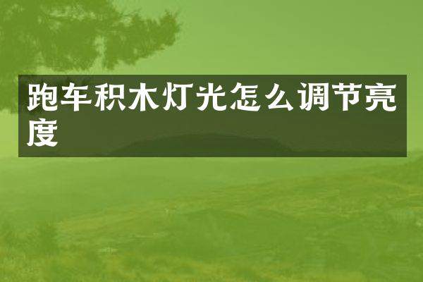 跑车积木灯光怎么调节亮度