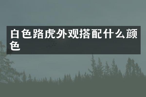 白色路虎外观搭颜色