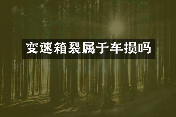 变速箱裂属于车损吗