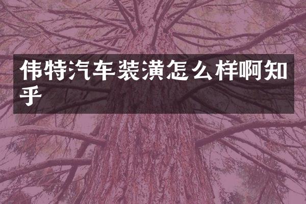 伟特汽车装潢怎么样啊知乎