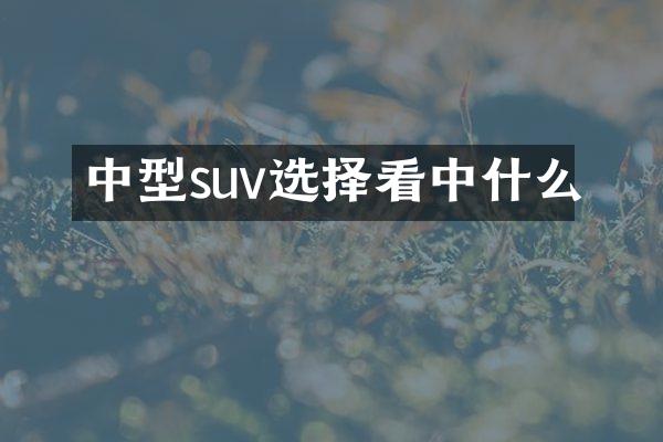 中型suv选择看中什么
