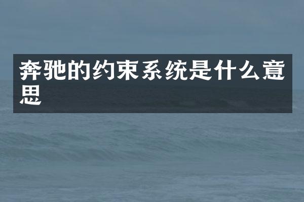 奔驰的约束系统是什么意思
