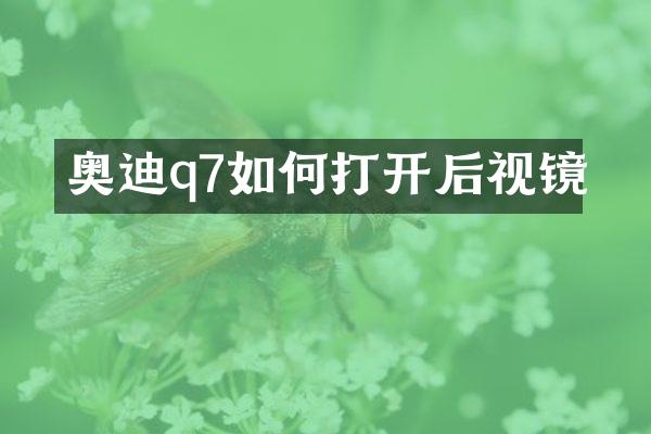 奥迪q7如何打开后视镜