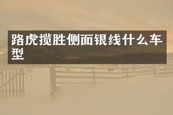 路虎揽胜侧面银线什么车型