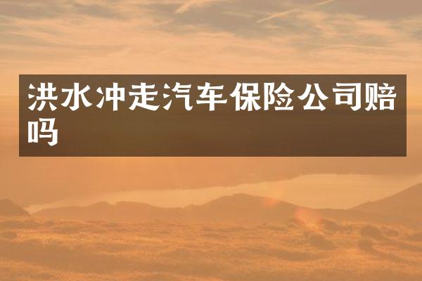 洪水冲走汽车保险公司赔吗
