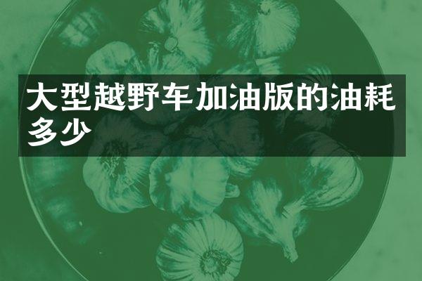 大型越野车加油版的油耗多少