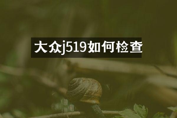 大众j519如何检查