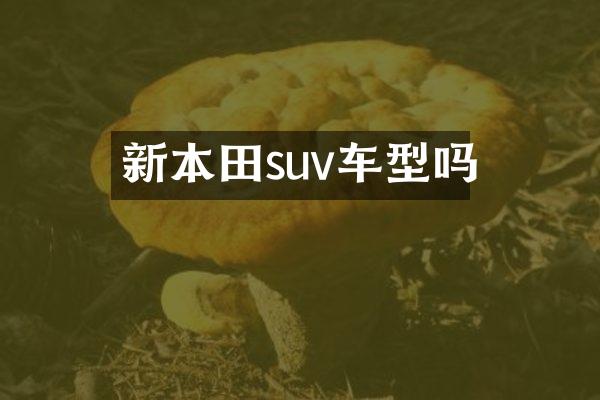 新本田suv车型吗