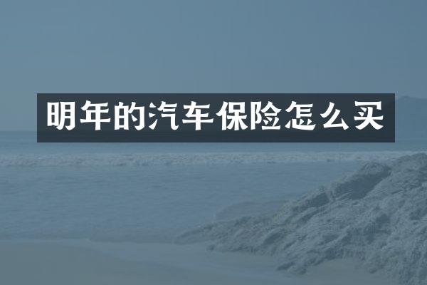 明年的汽车保险怎么买