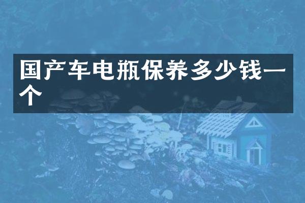 国产车电瓶保养多少钱一个