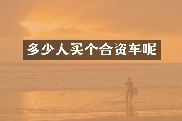 多少人买个合资车呢