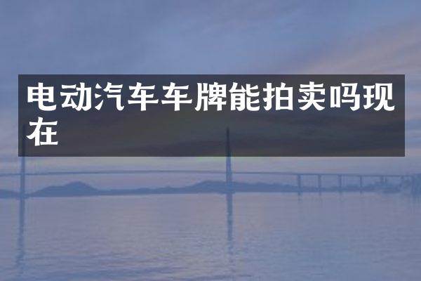 电动汽车车牌能拍卖吗现在