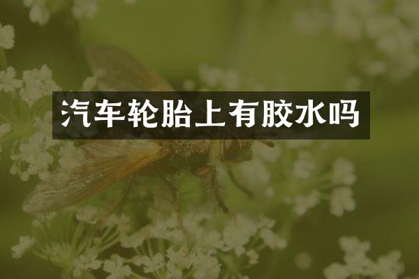 汽车轮胎上有胶水吗