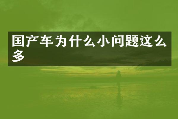 国产车为什么小问题这么多