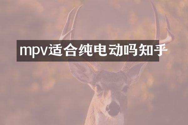 mpv适合纯电动吗知乎