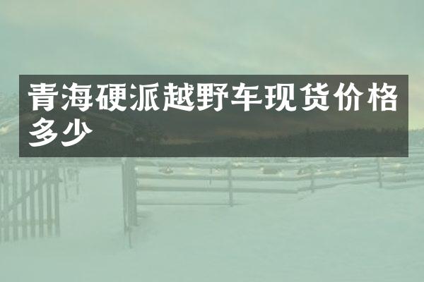 青海硬派越野车现货价格多少