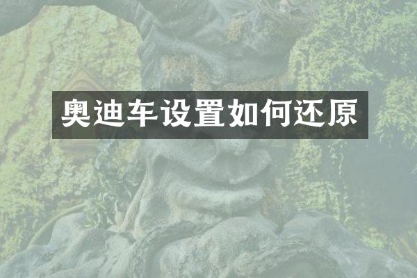 奥迪车设置如何还原