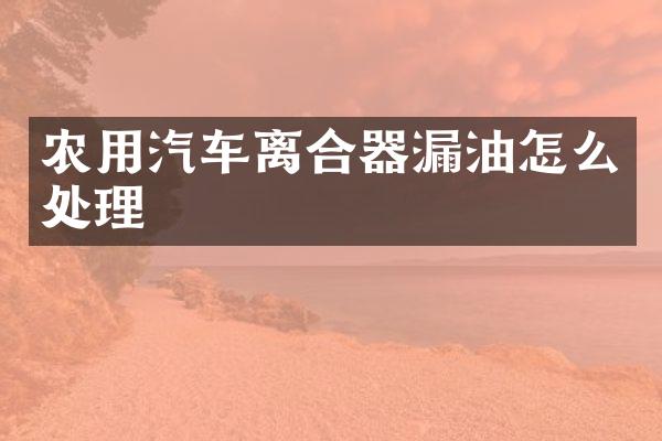 农用汽车离合器漏油怎么处理