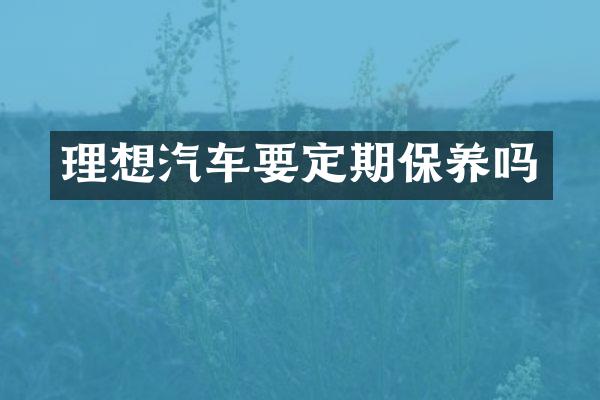 理想汽车要定期保养吗