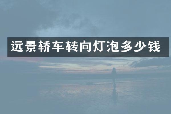远景轿车转向灯泡多少钱