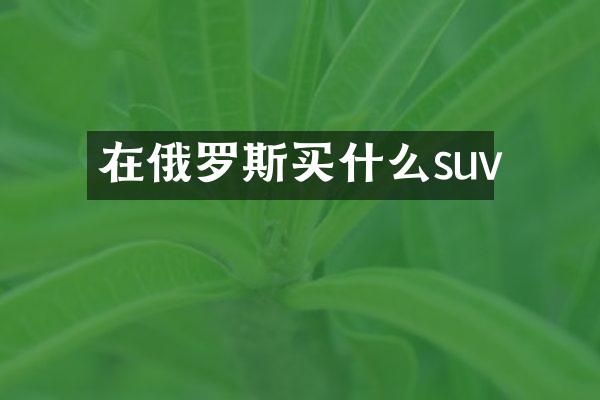 在俄罗斯suv