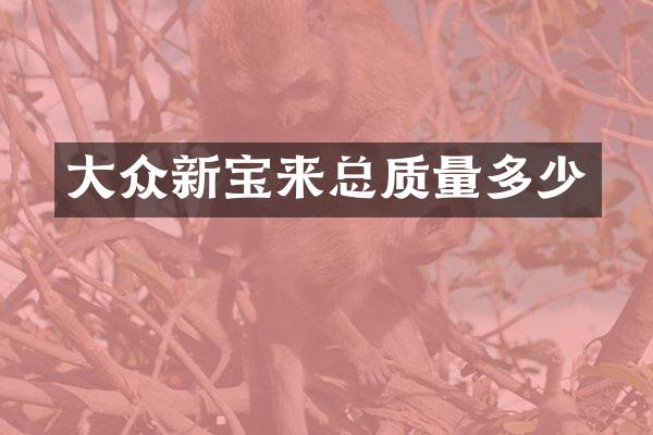 大众新宝来总质量多少