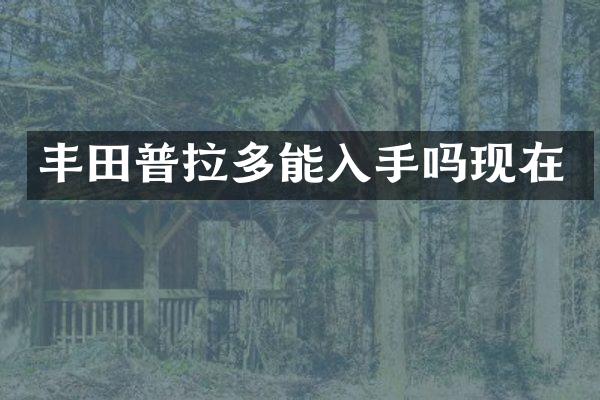 丰田普拉多能入手吗现在