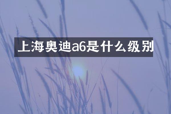 上海奥迪a6是什么级别
