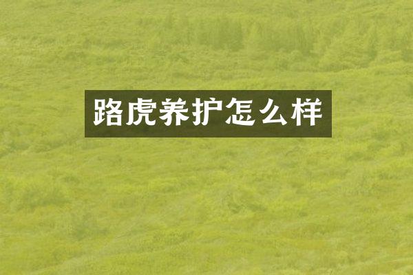 路虎养护怎么样