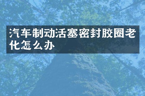汽车制动活塞密封胶圈老化怎么办
