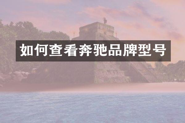如何查看奔驰品牌型号