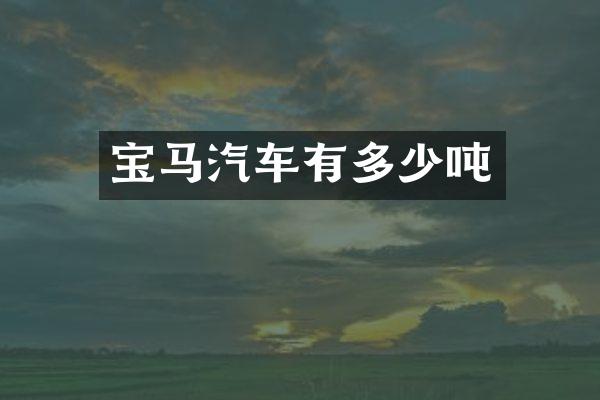 宝马汽车有多少吨
