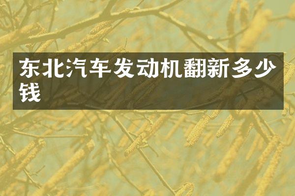东北汽车发动机翻新多少钱