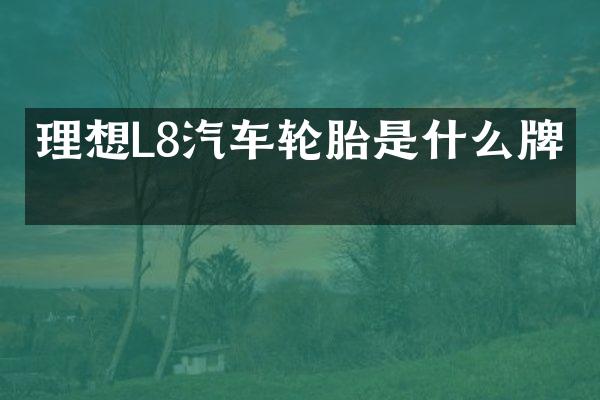 理想L8汽车轮胎是什么牌子