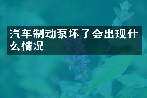 汽车制动泵坏了会出现什么情况