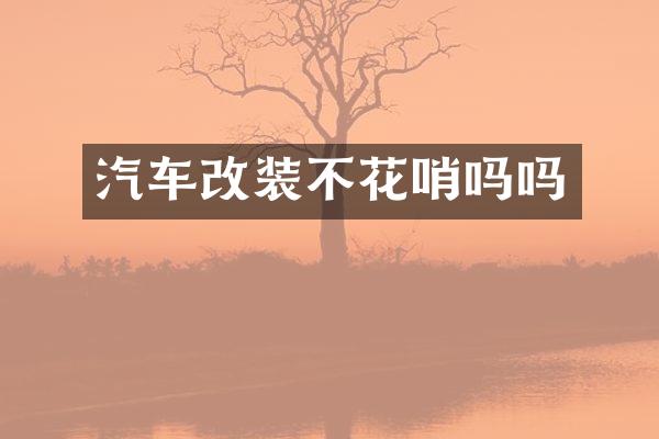 汽车改装不花哨吗吗