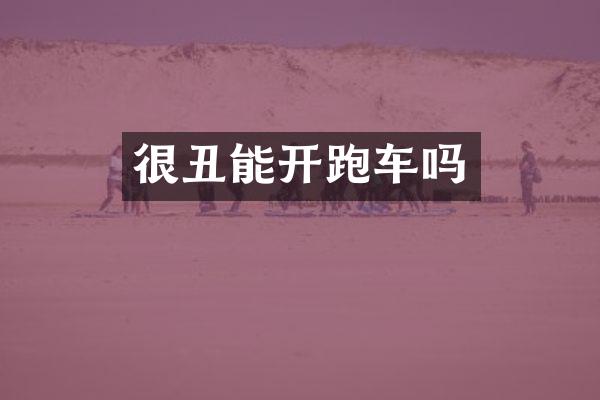 很丑能开跑车吗