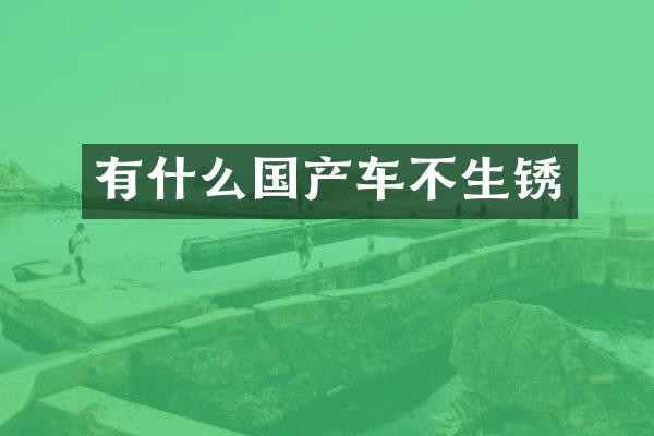 有什么国产车不生锈