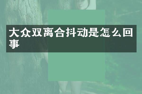 大众双离合抖动是怎么回事