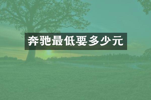奔驰最低要多少元