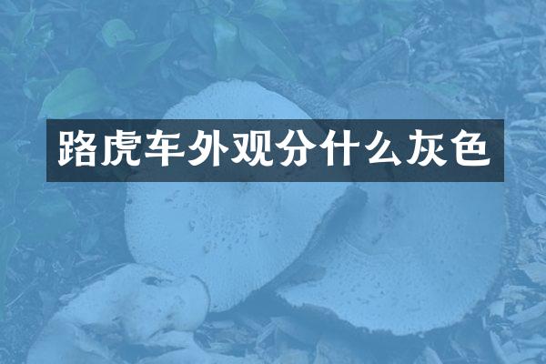 路虎车外观分什么灰色