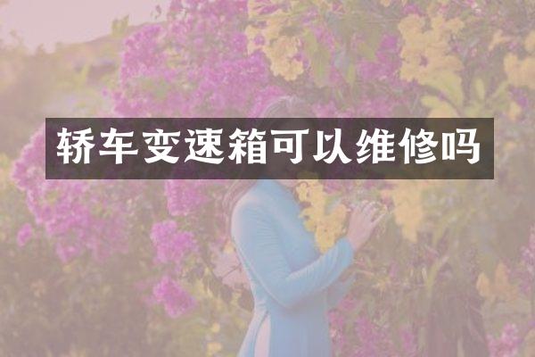 轿车变速箱可以维修吗