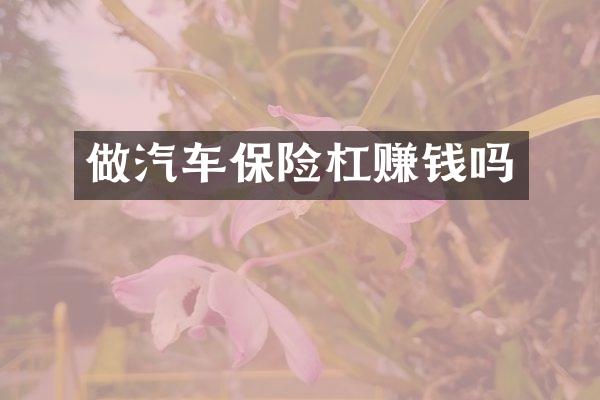 做汽车保险杠赚钱吗