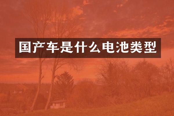 国产车是什么电池类型