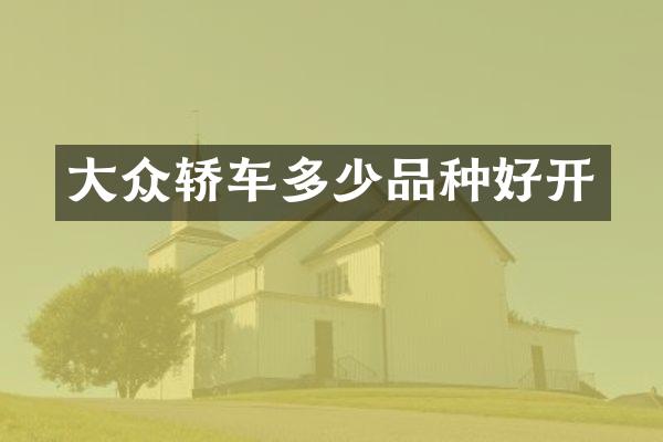 大众轿车多少品种好开