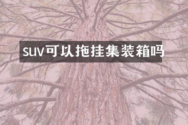 suv可以拖挂集装箱吗