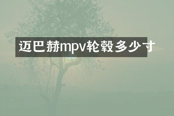 迈巴赫mpv轮毂多少寸