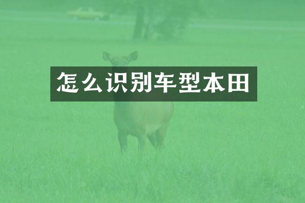 怎么识别车型本田