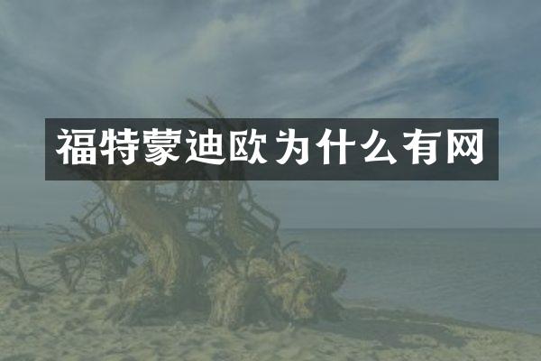 福特蒙迪欧为什么有网