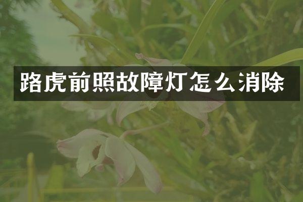 路虎前照故障灯怎么消除